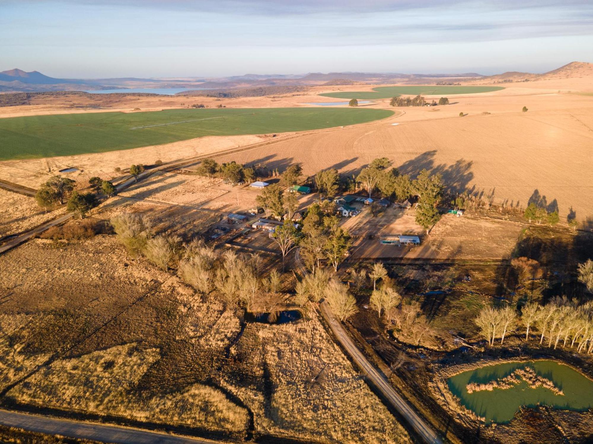 Dalmore Guest Farm Берґвілл Екстер'єр фото
