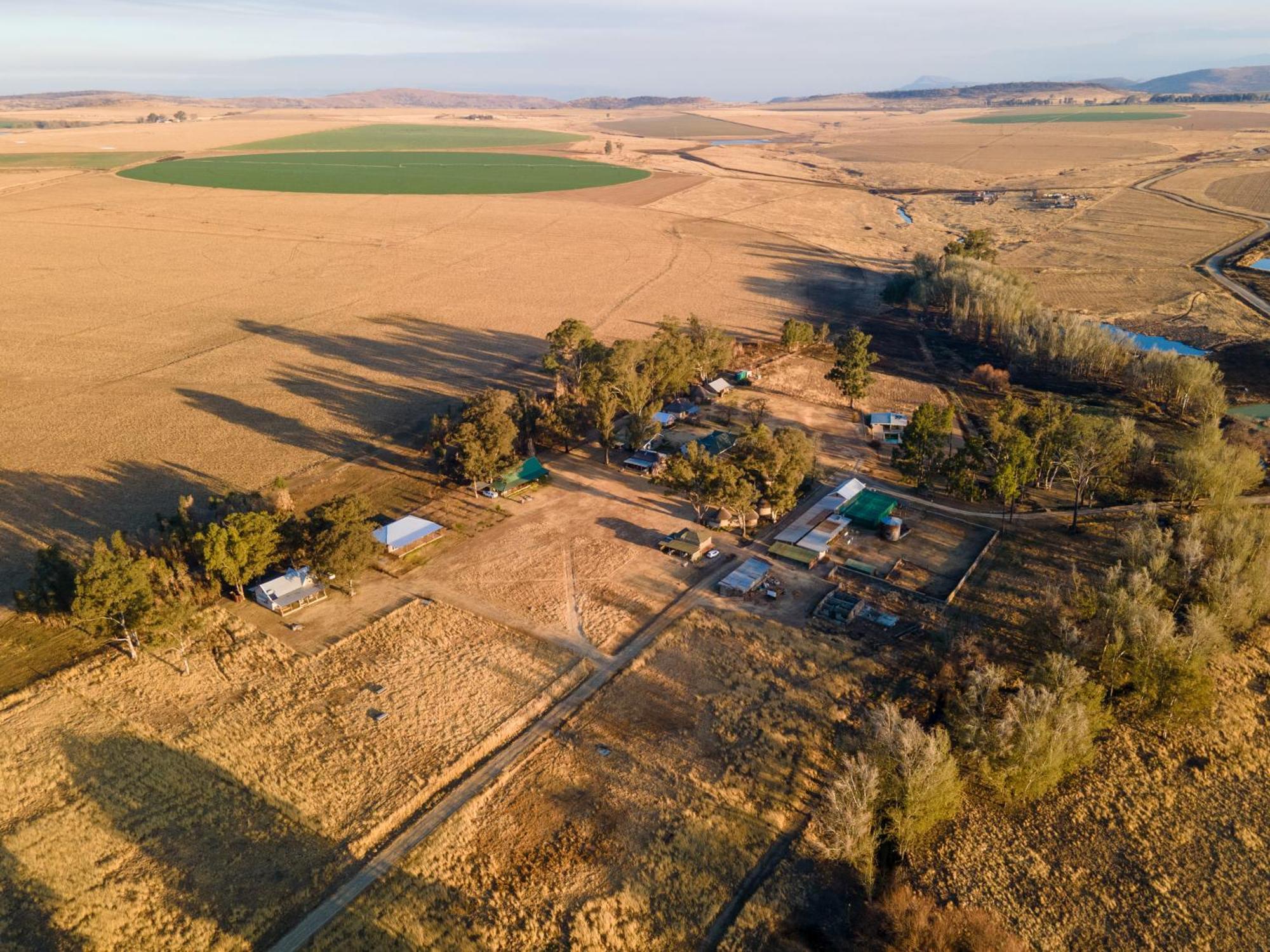 Dalmore Guest Farm Берґвілл Екстер'єр фото