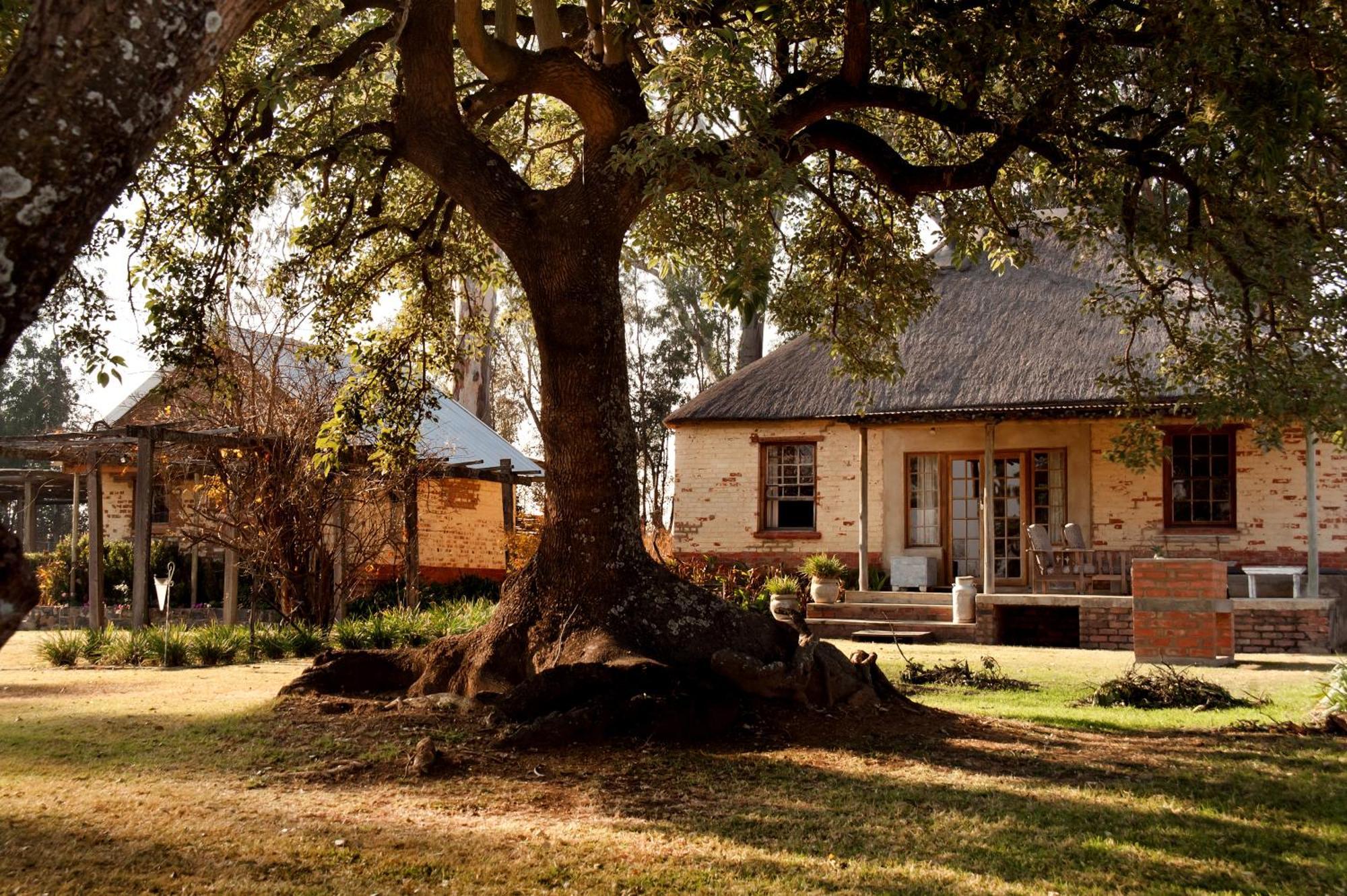 Dalmore Guest Farm Берґвілл Екстер'єр фото
